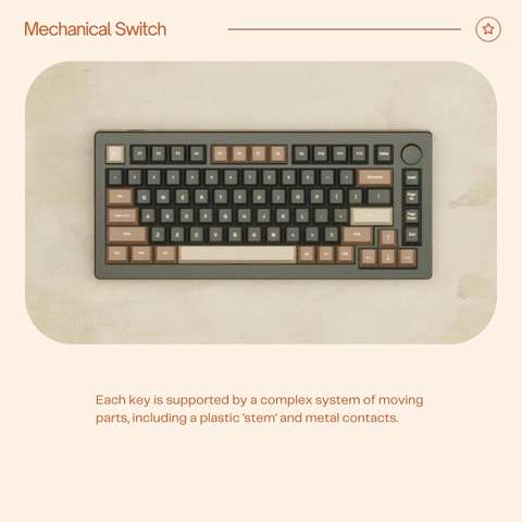 mechnical switch