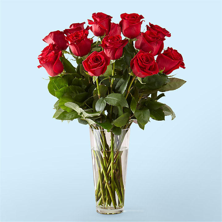 1-Dozen Multicolor Rose Bouquet - Flower Delivery NYC 