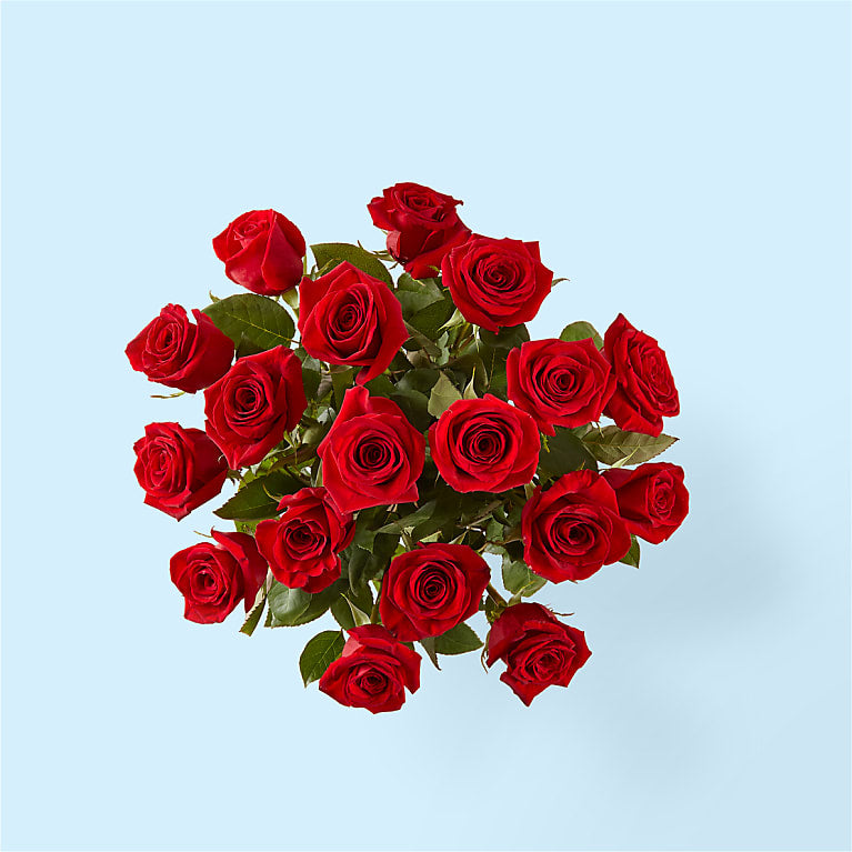 Long Stem Red Rose Bouquet