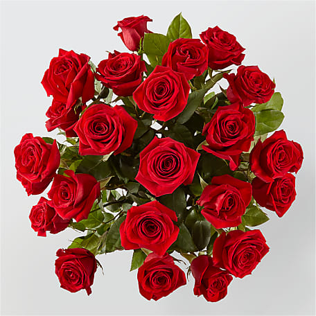Long Stem Red Rose Bouquet - 24 Roses