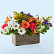 Oopsie Daisy Box Bouquet