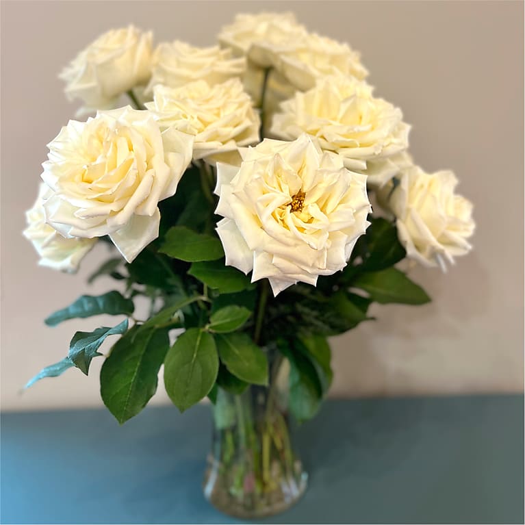 Long Stem Yellow Rose Bouquet