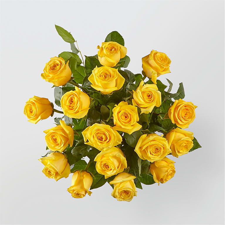 Water Roses Yellow - HTV Pattern