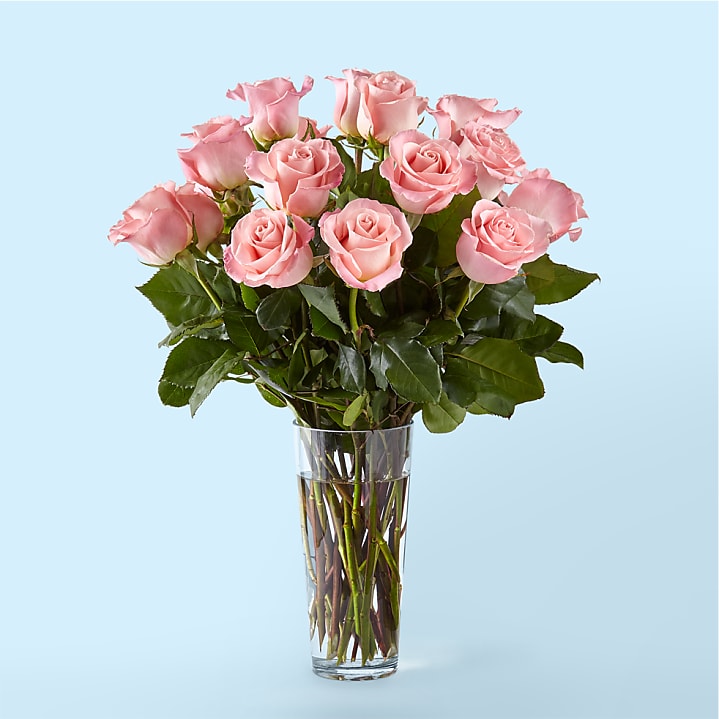 Two Dozen Roses Delivery | Proflowers