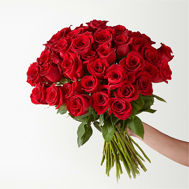 red dead single rose in vase