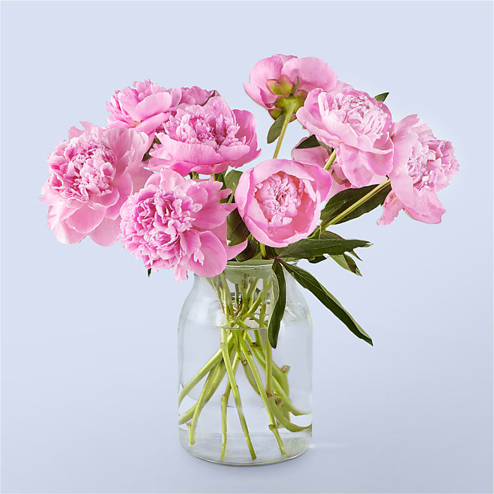 product image for Fresh Peony Bouquet