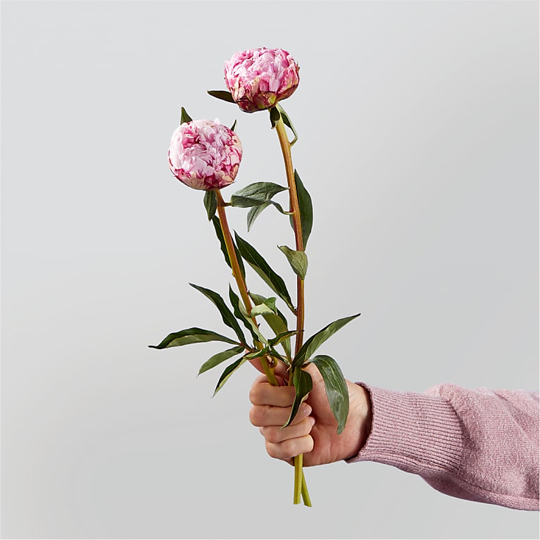 Cotton Candy Bouquet