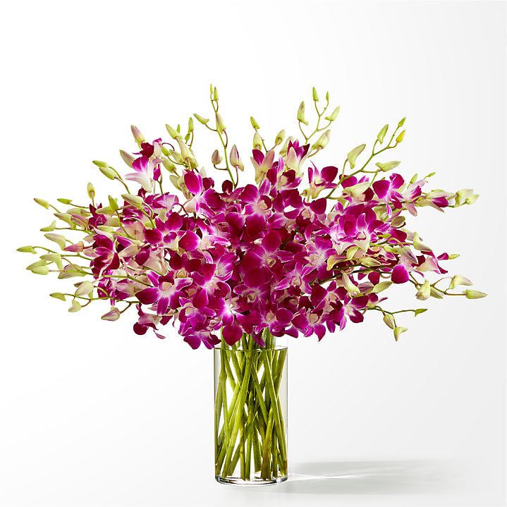 product image for Positively Purple Orchid Bouquet