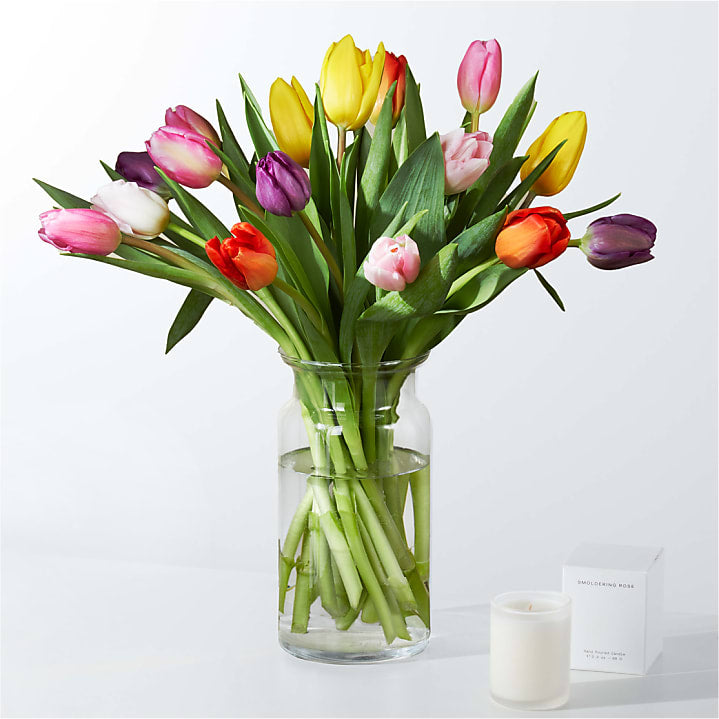 product image for Picnic Tulips Gift Sets