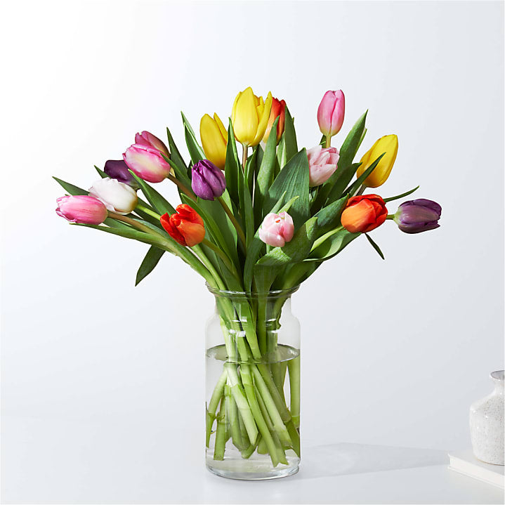 product image for Picnic Tulips