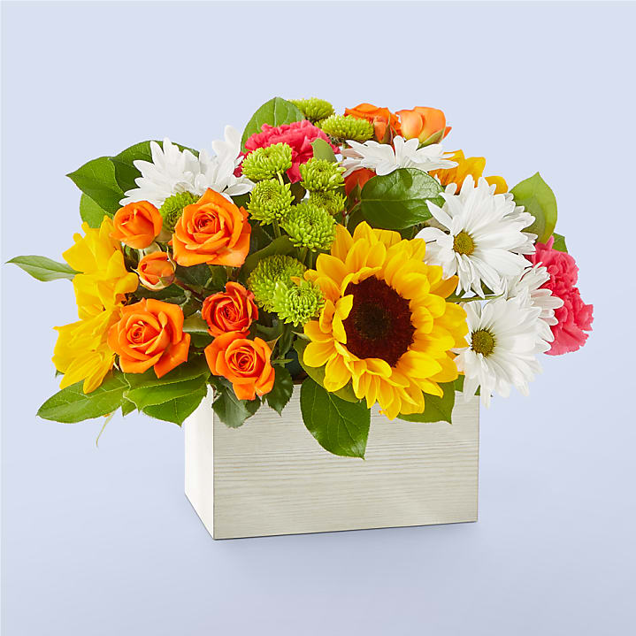product image for Sun-drenched Blooms Box Bouquet