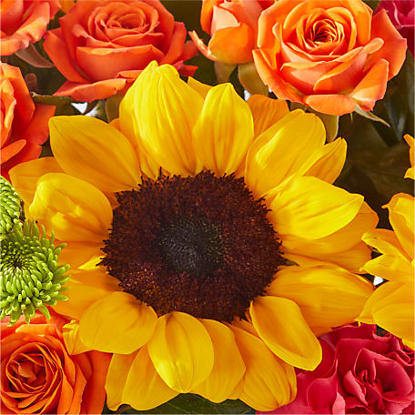Sun-drenched Blooms Box Bouquet - Exquisite