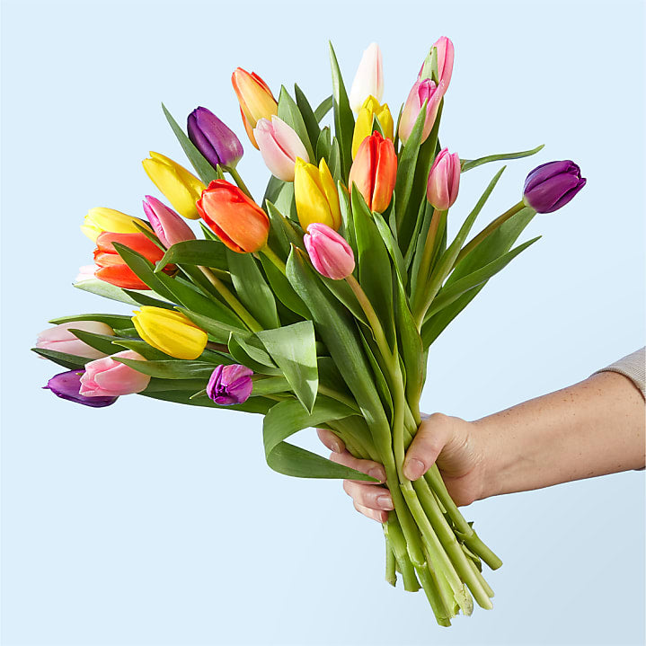product image for Picnic Tulips