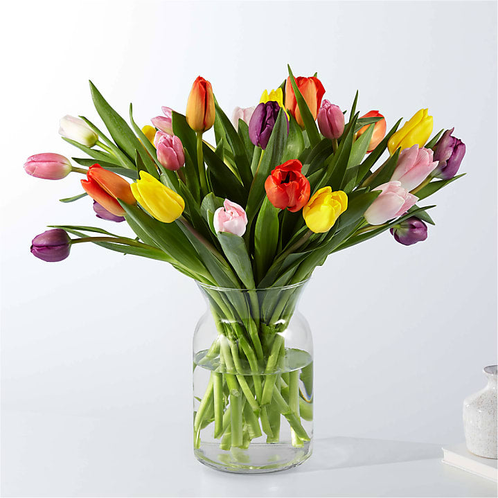 product image for Picnic Tulips