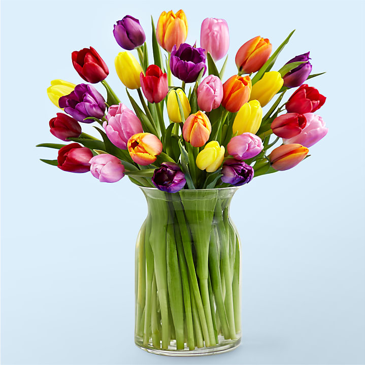 product image for Picnic Tulips