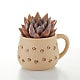 Pawprint Mug with Succulent