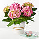 Pink Hydrangea Plant & Welcome Baby Lovepop® Pop-Up Card