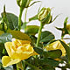 Yellow Mini Rose in Maple Leaf Pot