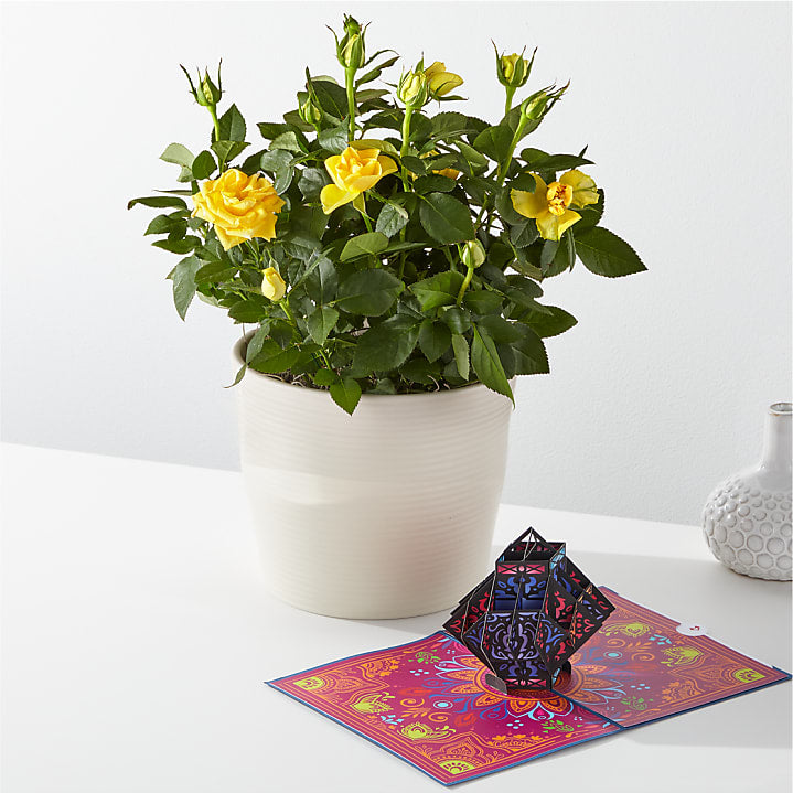 product image for Yellow Mini Rose & Diwali Lovepop® Pop-Up Card