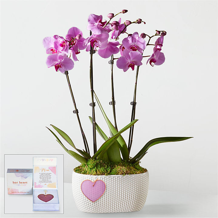 product image for Pink Orchid Garden with Mom Heart Keepsake