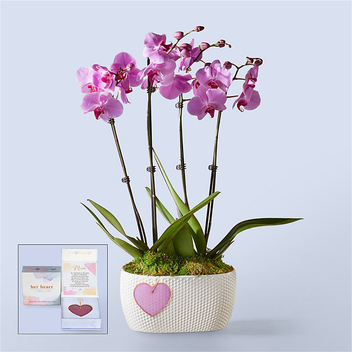 product image for Pink Orchid Garden with Mom Heart Keepsake