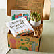 Housewarming Succulent Gift Box