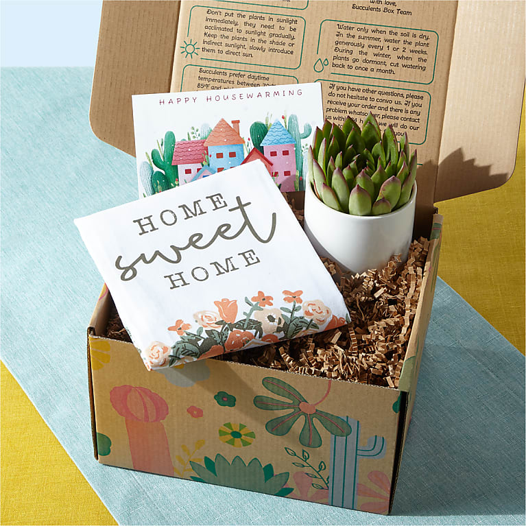 Housewarming Succulent Gift Box