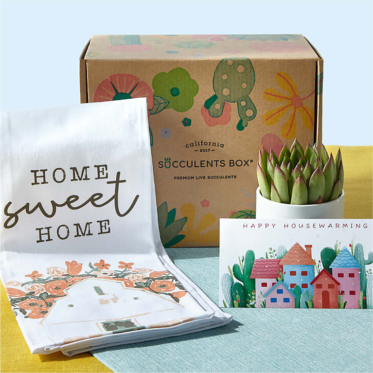 Housewarming Succulent Gift Box