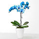 Blue Watercolor Orchid