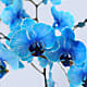 Blue Watercolor Orchid