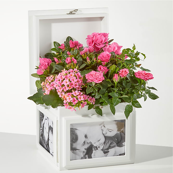 product image for Blush Garden Keepsake Box