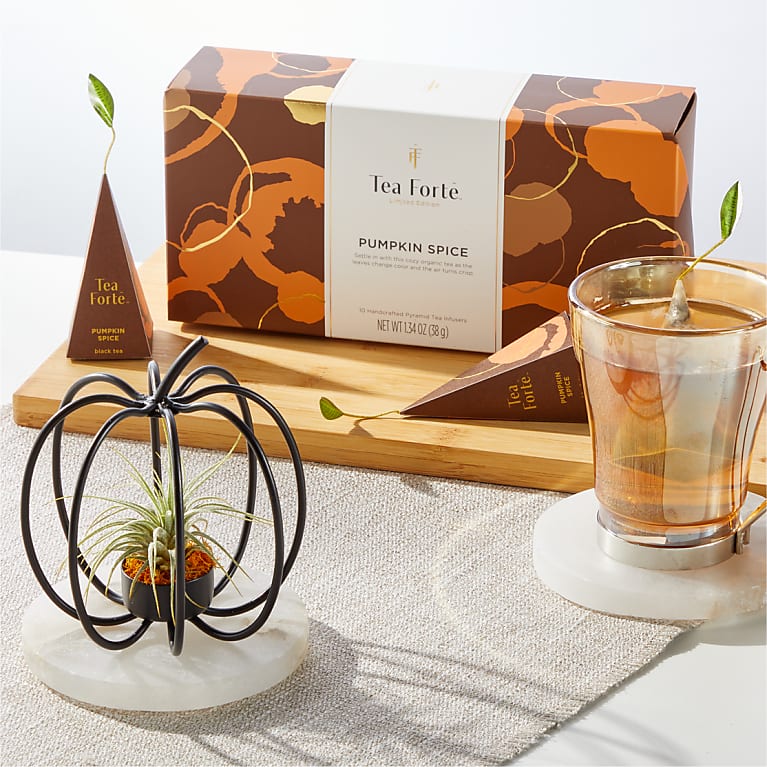 Wire Pumpkin Air Plant with Tea