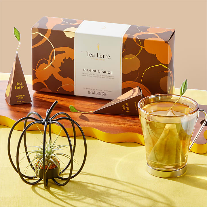product image for Wire Pumpkin Air Plant with Tea