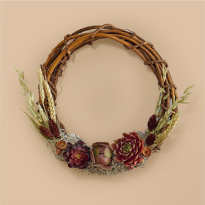 product image for Harvest Haven Succulent Wreath