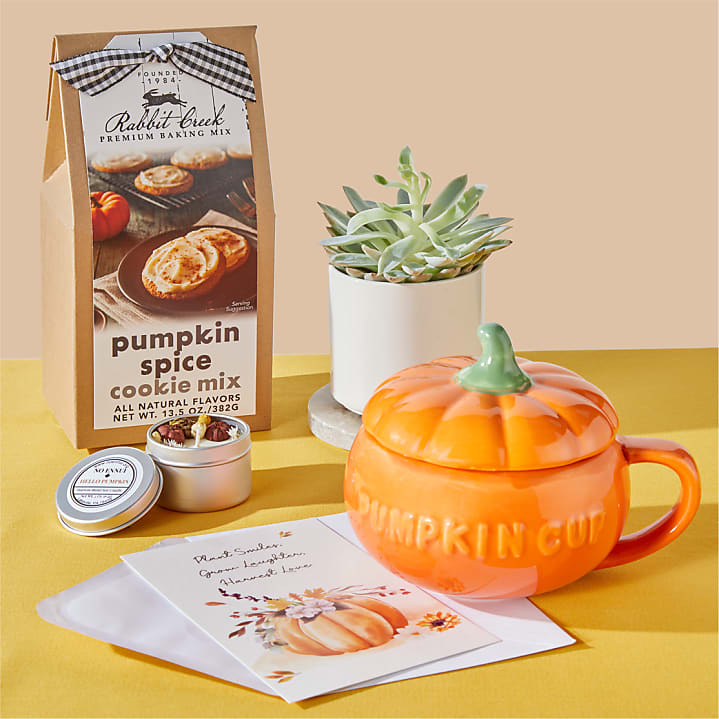product image for Fall Succulent Gift Box