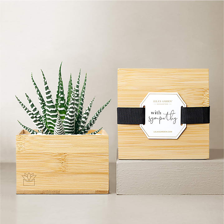 product image for Lula's Bamboo Zebra Garden - With Sympathy