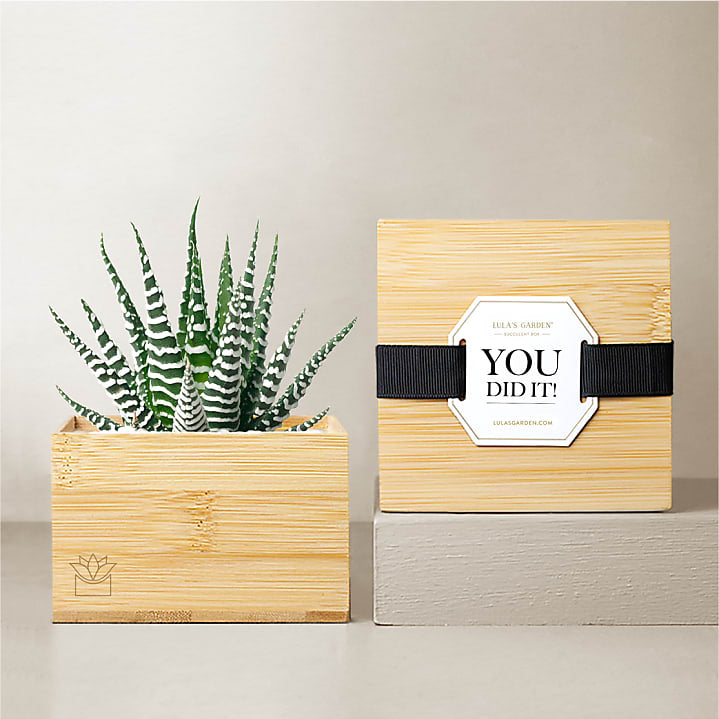 product image for Lula's Bamboo Zebra Garden - You Did It