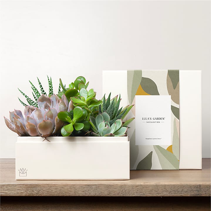 product image for Lula's Urban Garden