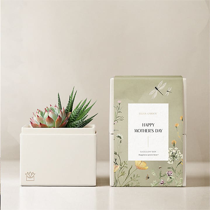 product image for Lula's Garden - Mother's Day Petite Gardens