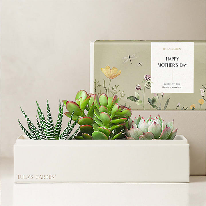 product image for Lula's Garden - Mother's Day Premium Gardens