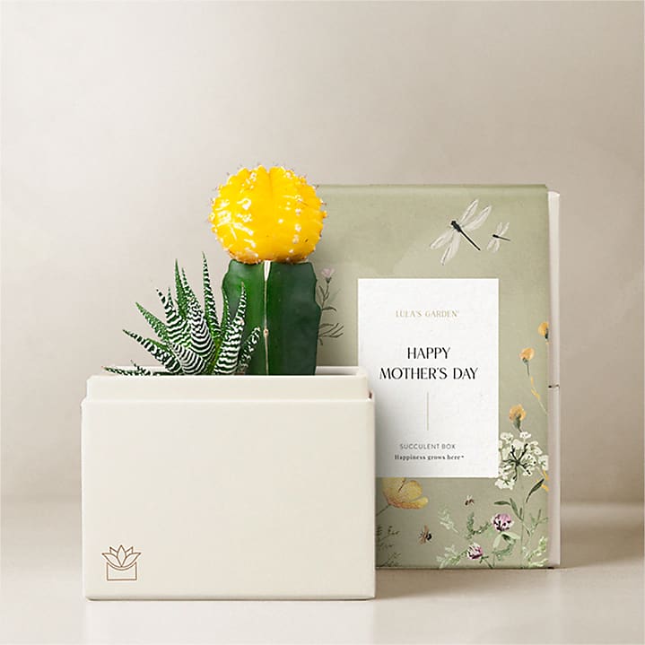 product image for Lula's Garden - Mother's Day Petite Gardens