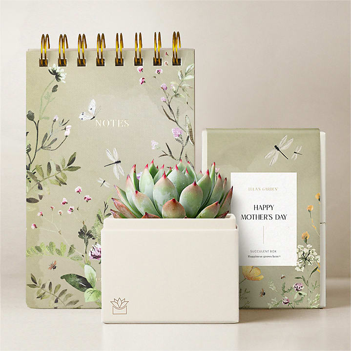 product image for Lula's Bliss Garden Gift Set-Mother’s Day