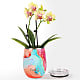 Dreamsicle Orchid in Swig(R) Cooler Cup