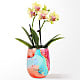 Dreamsicle Orchid in Swig(R) Cooler Cup