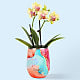 Dreamsicle Orchid in Swig(R) Cooler Cup