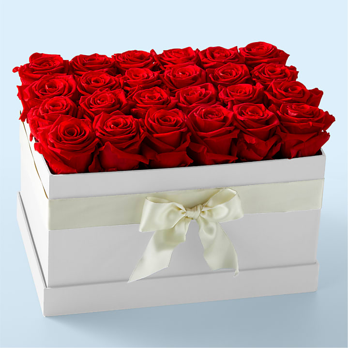 product image for Red Forever Roses