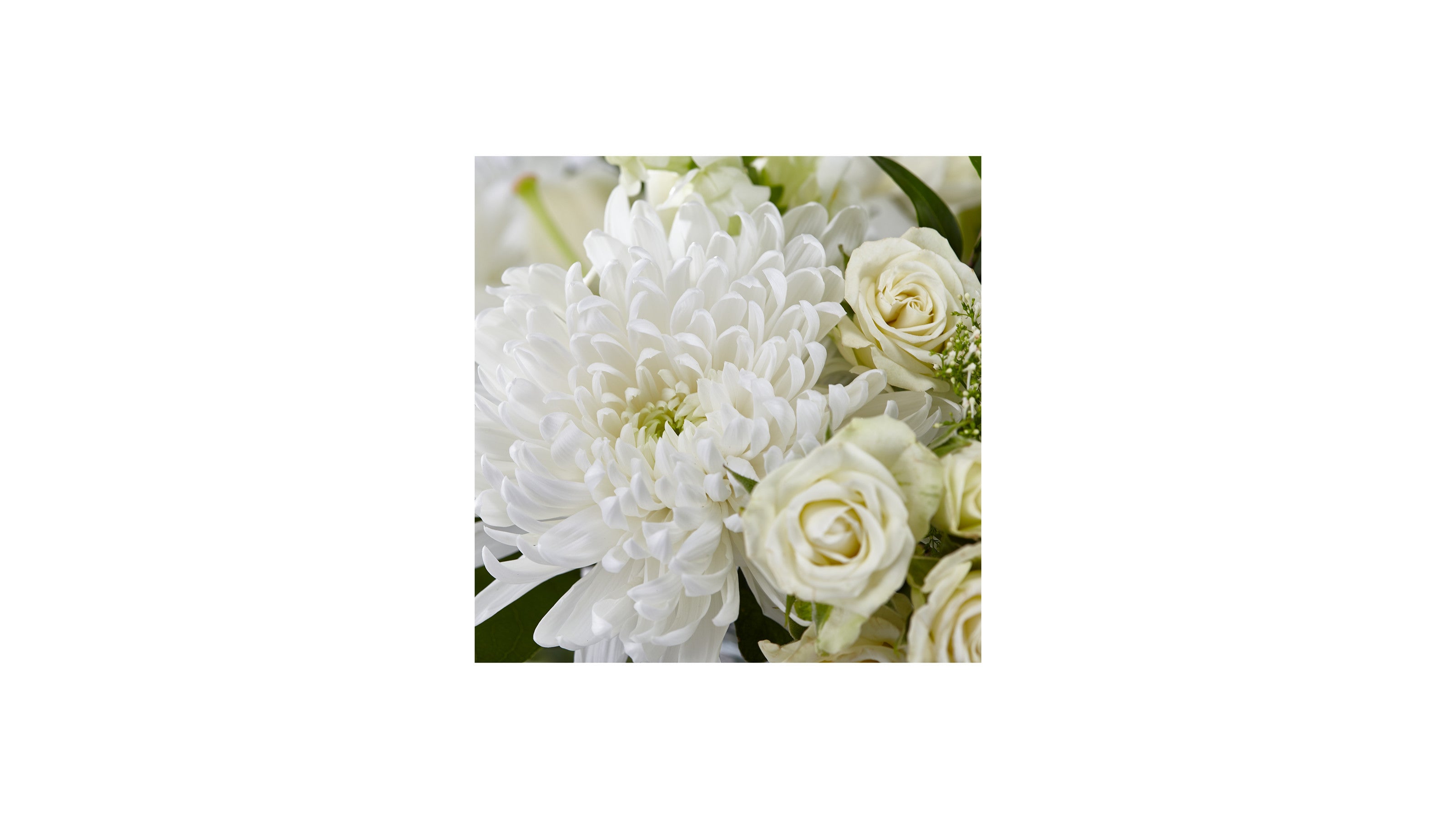 Safeway Floral Funeral Arrangement in White and Green FTD Florist Flower  and Gift Delivery