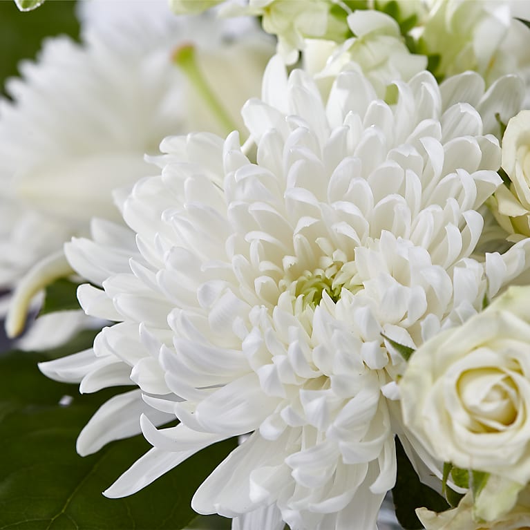 Classic Ivory – A Florist Original