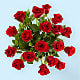 Classic Love Red Rose Bouquet