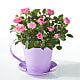 You're My Cup of Tea Mini Pink Rose
